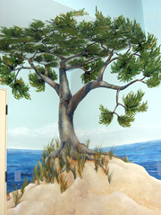 wall murals | kids mural San Diego 2007