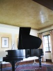 venetianplasterceiling